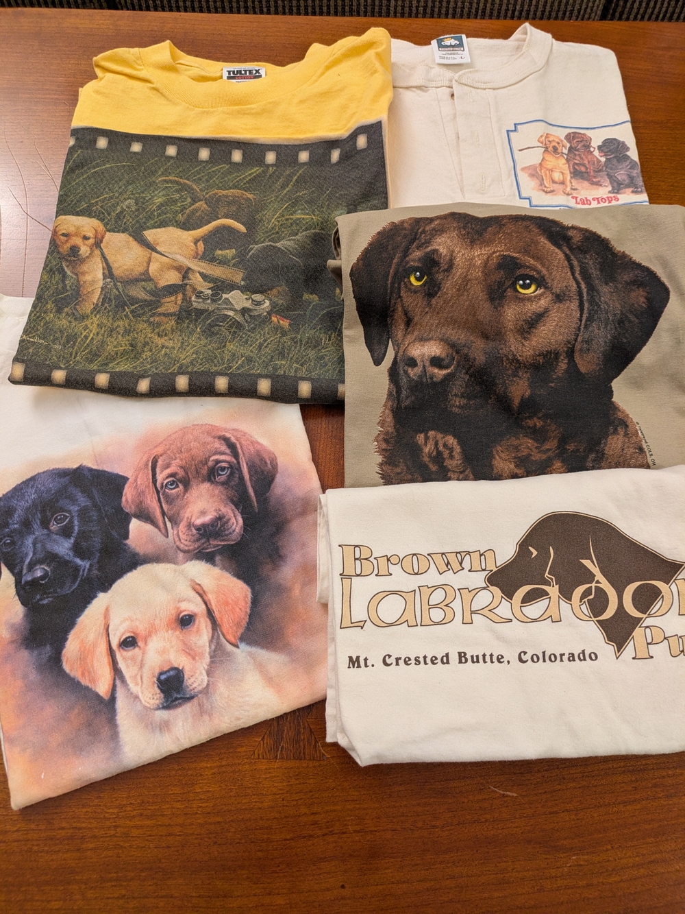 Labrador Lover Short Sleeve T-shirt Bundle - 5 Shirts L/XL 🐾
